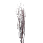 }(DO52571)