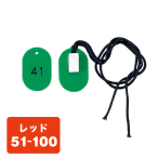 pN[NDW CP-34S 51`100 