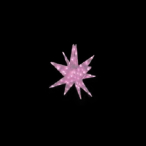 LEDZp[cMNV[  sN 4H