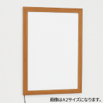 LEDƃpl FE934 A1 L ACA_v^[t 