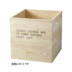 t[BOX M WS-3