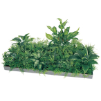 GM9503 �A�ڃX�N�G�A�O���[�� 60�p2�A