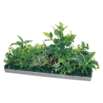 GM9509 �A�ڃX�N�G�A�O���[�� 60�p2�A