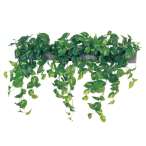 GR9003 ���C�h�O���[��