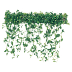 GR9005 ���C�h�O���[��