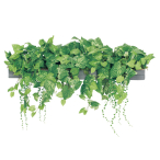 GR9014 ���C�h�O���[��