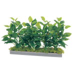 GR9019 ���C�h�O���[��