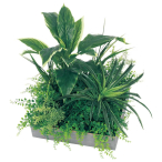 GR9023 �A�ڃX�N�G�A�O���[�� 30�p