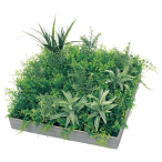 GR9024 �A�ڃX�N�G�A�O���[�� 45�p