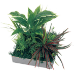 GR9032 �A�ڃX�N�G�A�O���[�� 30�p