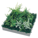 GR9033 �A�ڃX�N�G�A�O���[�� 45�p