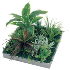 GR9034 �A�ڃX�N�G�A�O���[�� 45�p