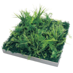 GR9036 �A�ڃX�N�G�A�O���[�� 60�p