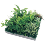 GR9037 �A�ڃX�N�G�A�O���[�� 60�p