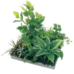 GR9038 �A�ڃX�N�G�A�O���[�� 60�p